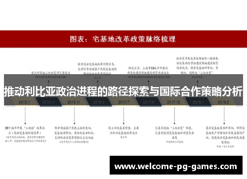 推动利比亚政治进程的路径探索与国际合作策略分析