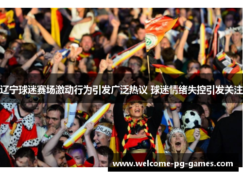 辽宁球迷赛场激动行为引发广泛热议 球迷情绪失控引发关注