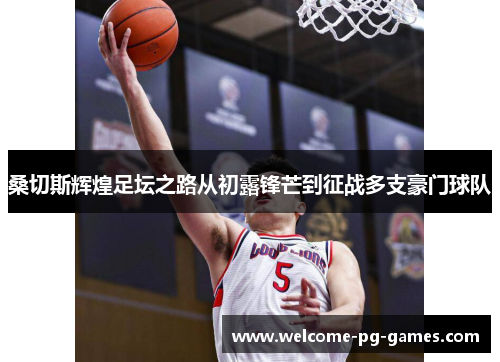 桑切斯辉煌足坛之路从初露锋芒到征战多支豪门球队 桑切斯辉煌足坛之路从初露锋芒到征战多支豪门球队